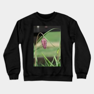 Snakeshead Fritillary Crewneck Sweatshirt